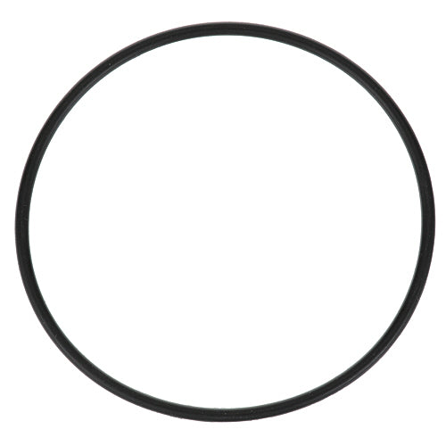 Picture of O-Ring for Everpure Part# 307119