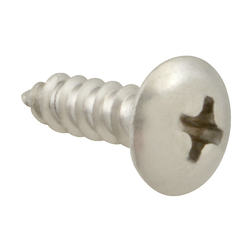Picture of Screw, Sm/Th/Ss 100