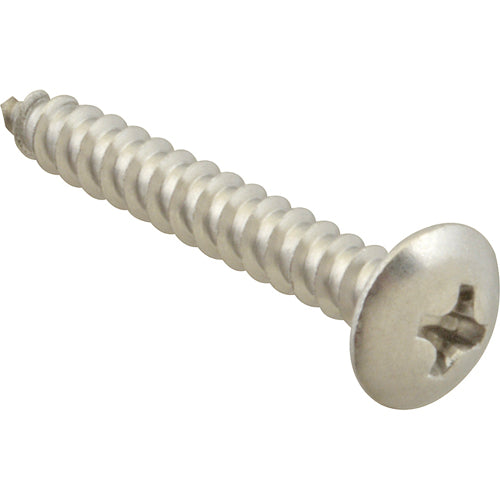 Picture of Screw, Sm/Th/Ss 100