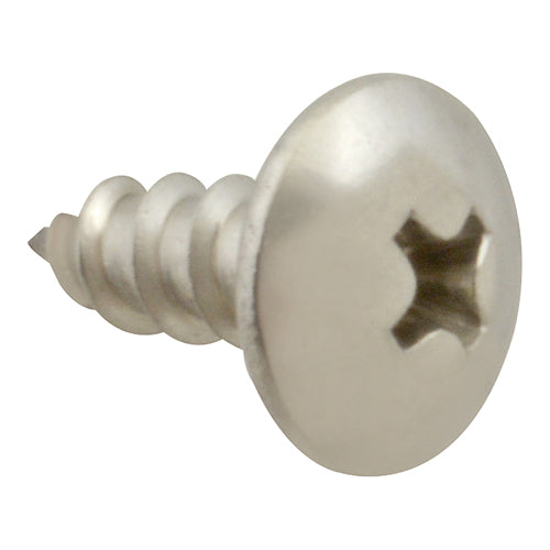 Picture of Screw, Sm/Th/Ss 100