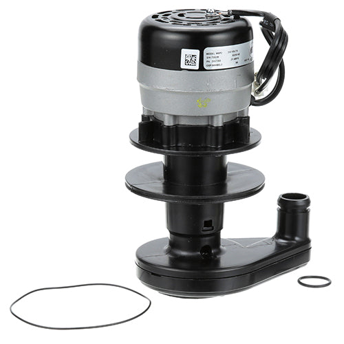 Picture of Water Pump - 230V for Manitowoc Part# 2007389