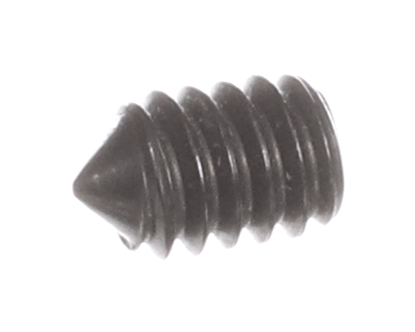 Doyon Equipment Screw (for Weight) on a white background