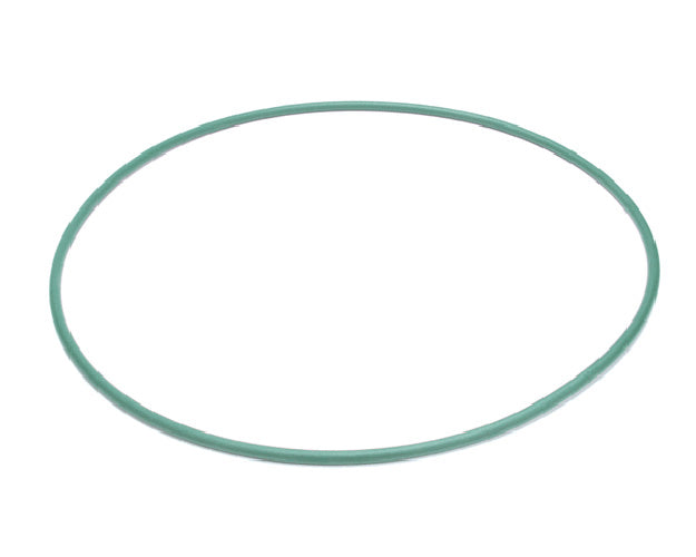 Doyon Driving Belt on a white background