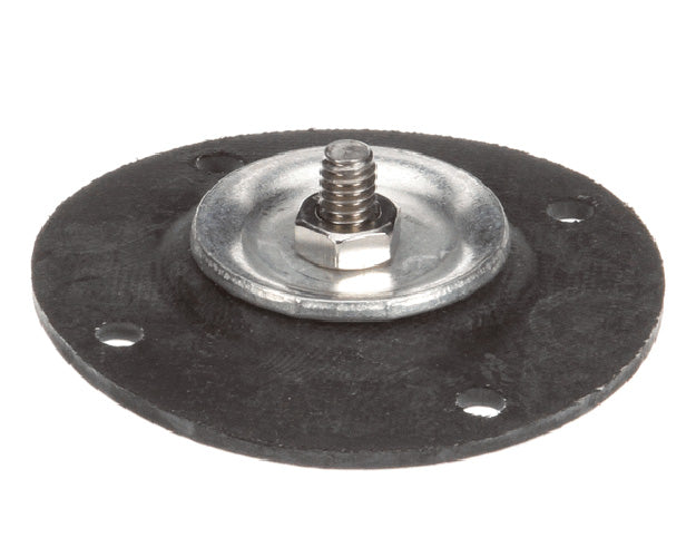 Gaylord Diaphragm on a white background