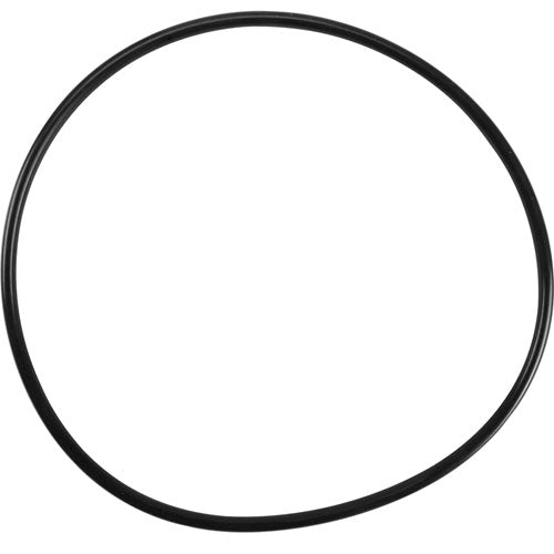 Picture of O-Ring,Housing  For Everpure Part# 143273