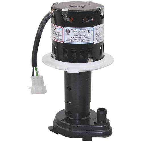 Black and white pump with visible branding on a white background