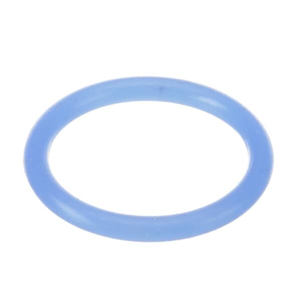 Picture of O-Ring (1"Od, Discharge Tube) for Server Products Part# SER5127