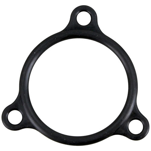 Picture of Heater Flange Seal  for Champion Part# 109985
