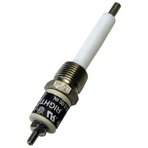 Picture of Water Level Probe  for Groen Part# GR141285