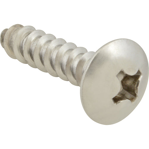 Picture of Screw,Sm/Th/Ss (100)