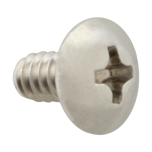Picture of Screw, Mach/Th/Ss (100)