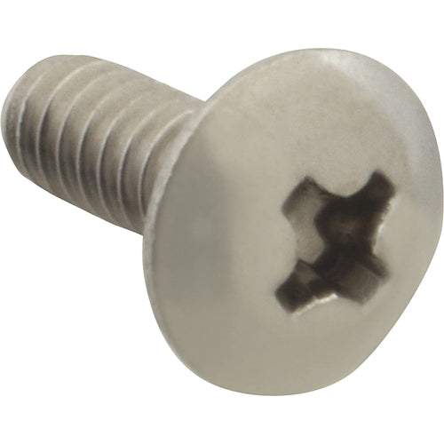 Picture of Screw, Mach/Th/Ss (100)