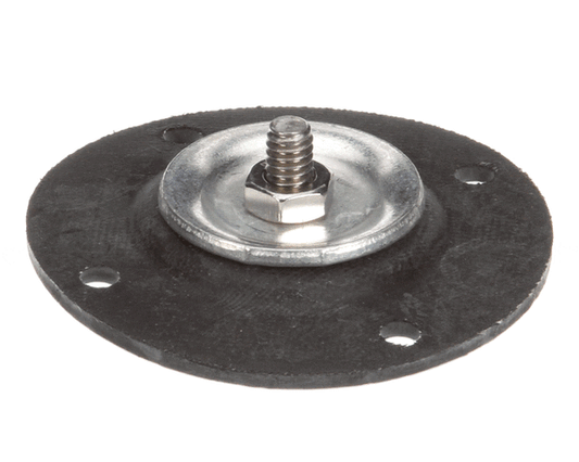 Gaylord Diaphragm on a white background