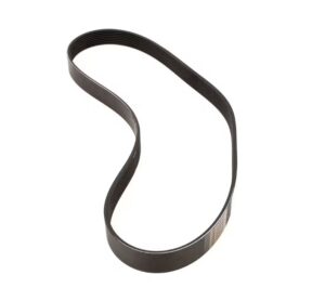 Picture of Hobart 00-873921 Belt