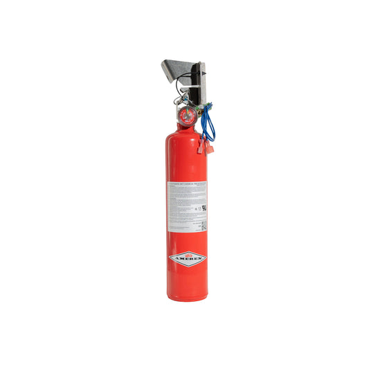 A red fire extinguisher with a silver metal handle, red pressure gauge, blue lanyard, and white instructional label, shown against a plain white background.